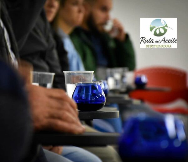 Curso de Iniciación a la cata de aove Oleosetin