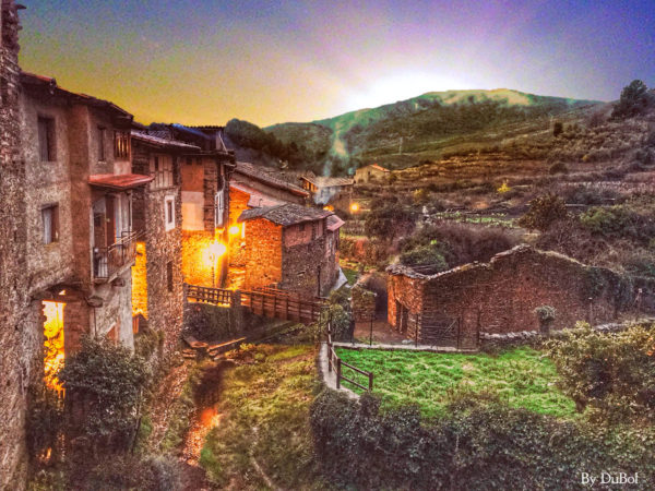 maravilla rural aceite de oliva virgen extra manzanilla cacereña de Robledillo de Gata el mejor aceite