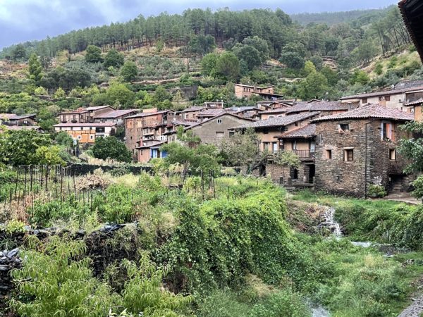 Robledillo de Gata que ver o qué hacer con la familia Oleosetin Experiencias talleres cursos catas y degustaciones